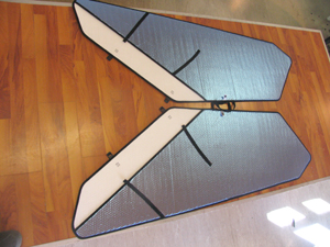 Electric Lightning von Airworld