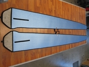 ASG 29 von FW-Models