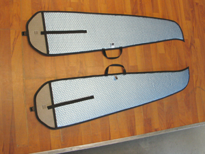 MiniStingray Raschke