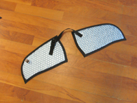 MiniStingray Raschke